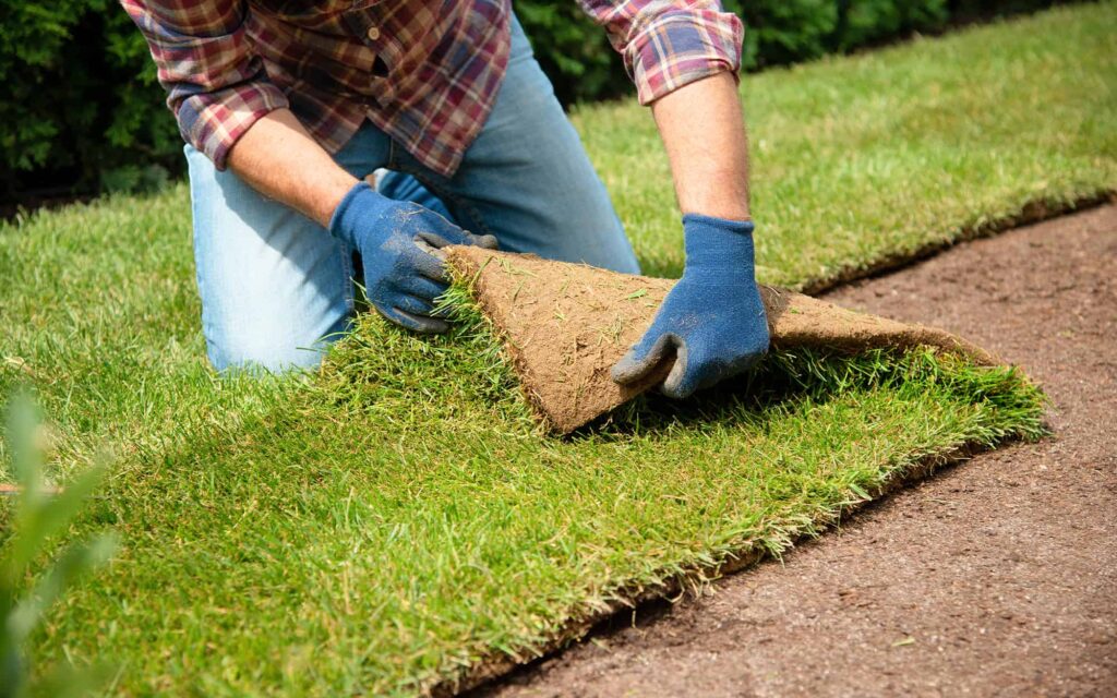Sod vs. Grass vs. Turf: Understanding the Differences for Long Island Landscaping