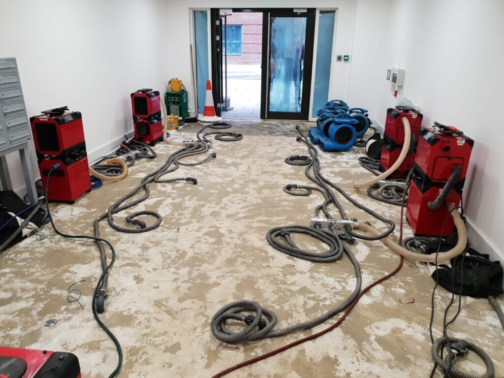 Expert Drying by Basement Water Damage Company Prevents Future Costly Repairs