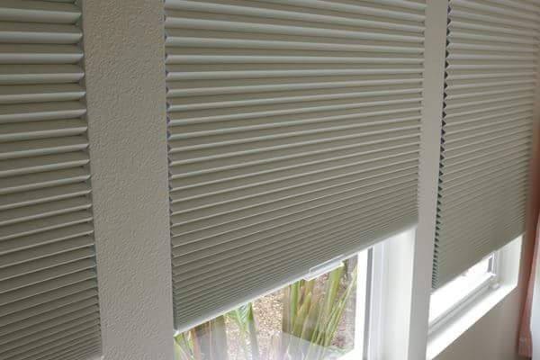 Window Blinds