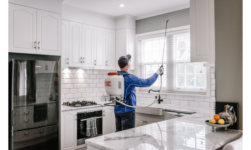 Interior Pest Control
