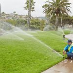 Creating Water-Efficient Landscaping