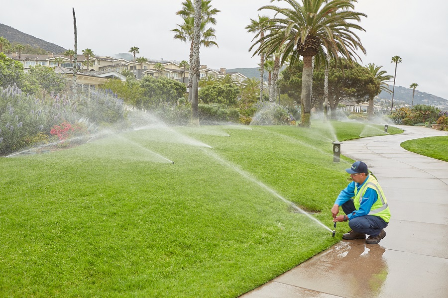 Creating Water-Efficient Landscaping