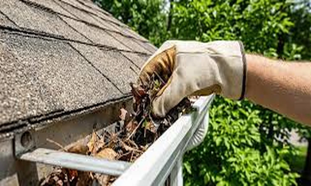Kansas City Gutter Cleaning Cost